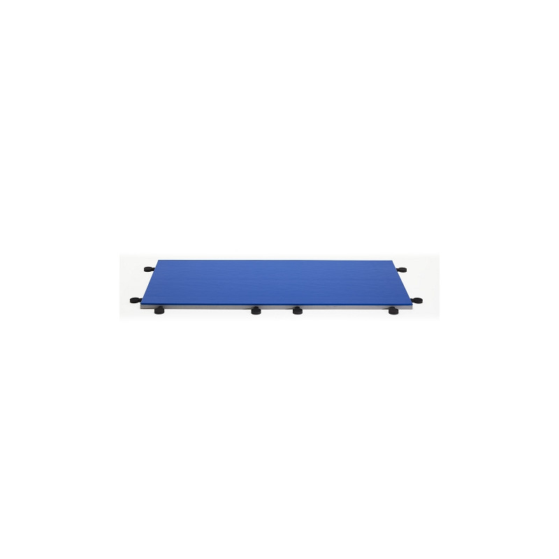 TATAMI JUDO ENTRAINEMENT 200X100X4CM - DIMASPORT