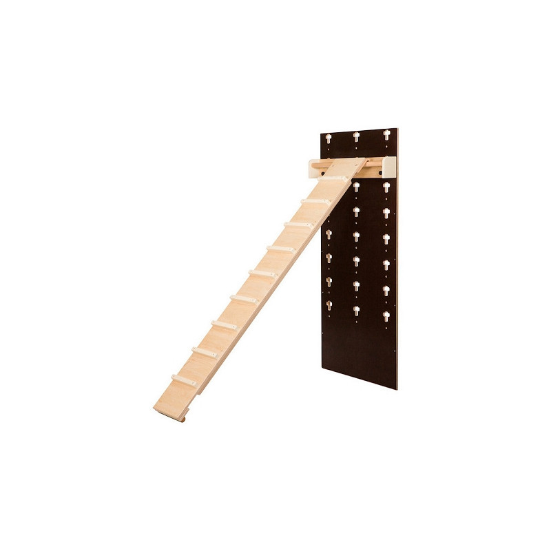 CHICKEN LADDER