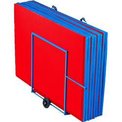 Vertical transportation cart for mats