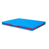 Dual density reversible mattress