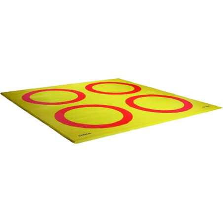 Reversible educational wrestling mat cover1 circle / 4 circles