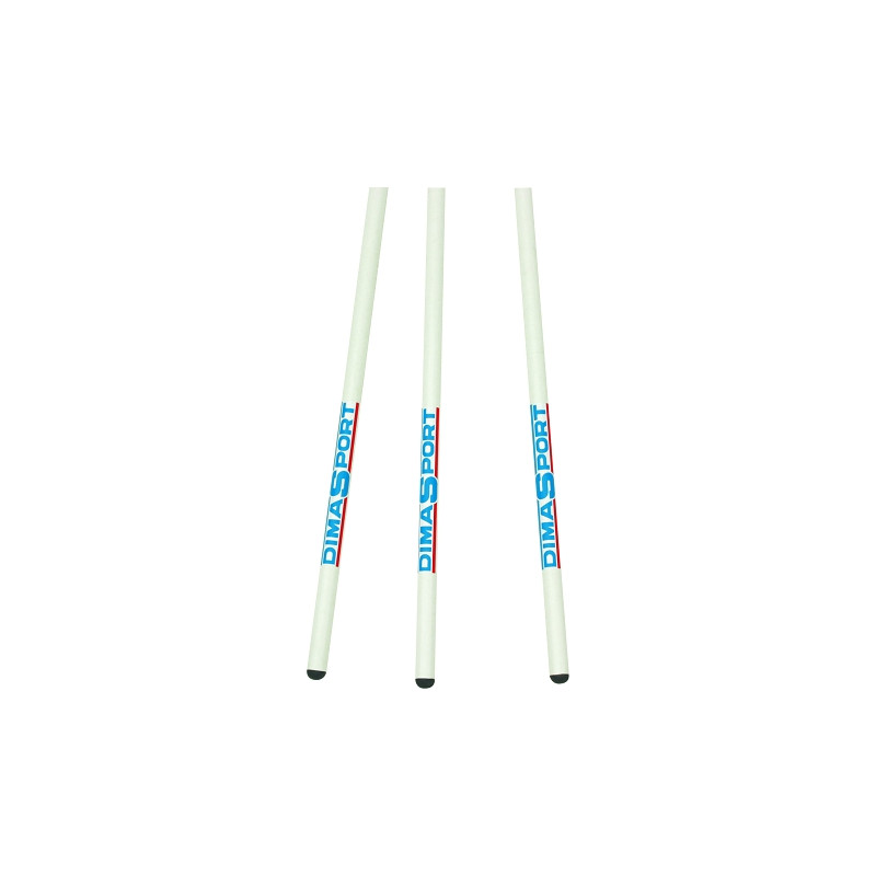 Beginners fibreglass pole 2m