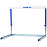 Electro-galvanized club hurdle
