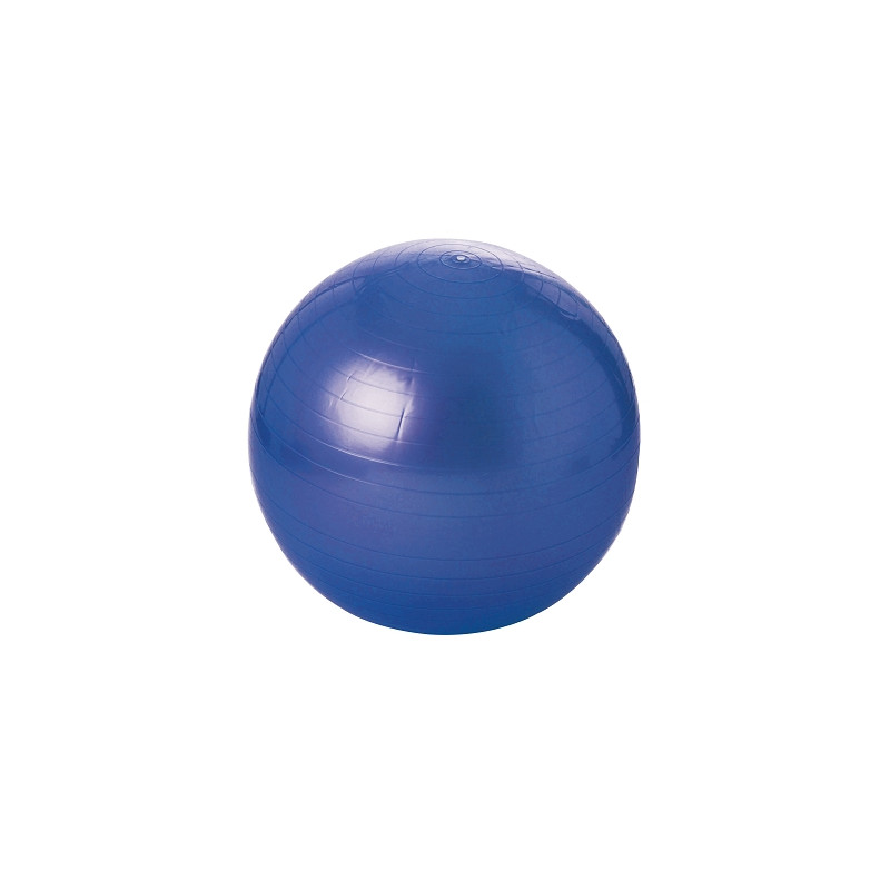 Gym ball / exercise ball