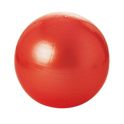 Gym ball / exercise ball