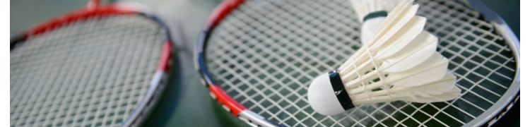 RAQUETTES, VOLANTS & ACCESSOIRES DE BADMINTON